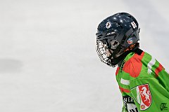 DSC08385-1000