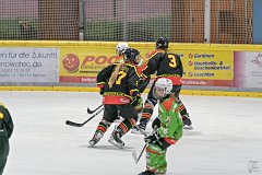DSC08391-1000