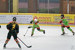DSC08394-1000