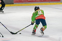DSC08396-1000