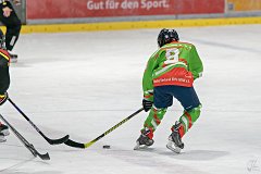 DSC08397-1000