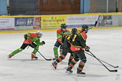 DSC08401-1000
