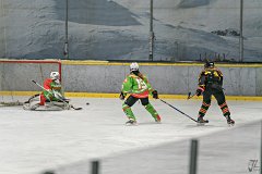 DSC08402-1000
