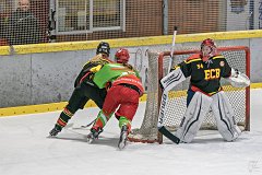 DSC08404-1000