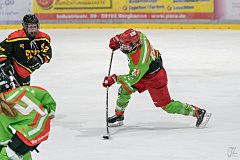 DSC08411-1000