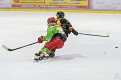 DSC08412-1000