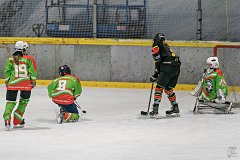 DSC08417-1000