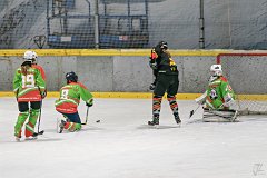 DSC08418-1000