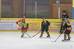 DSC08428-1000