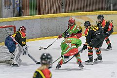 DSC08431-1000