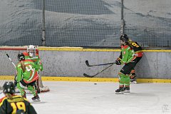 DSC08434-1000