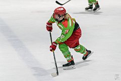 DSC08435-1000