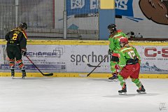DSC08438-1000