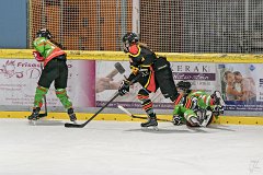 DSC08440-1000