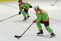 DSC08444-1000