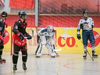 DSC08990-1500