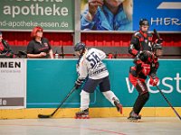 DSC09038-1500