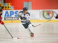 DSC09060-1500