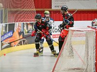 DSC09077-1500