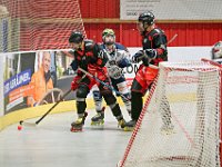 DSC09078-1500