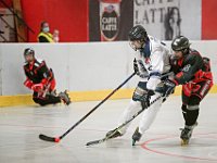 DSC09238-1500
