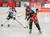 DSC09241-1500