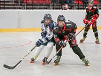 DSC09245-1500