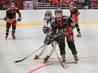 DSC09248-1500