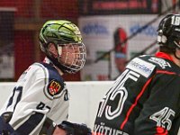 DSC09331-1500