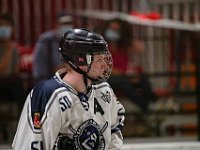 DSC09337-1500