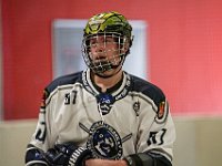 DSC09339-1500