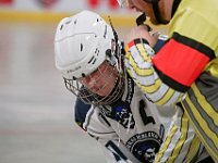 DSC09341-1500