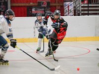 DSC09401-1500