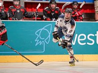 DSC09461-1500
