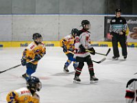 Eisadler U17 vs Neuss 124-1250