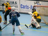 DSC07948-1500