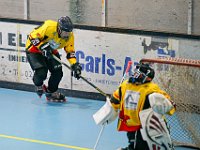 DSC07950-1500
