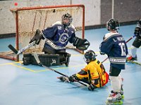 DSC08127-1500