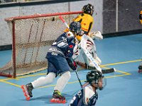 DSC08165-1500