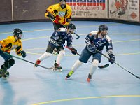 DSC08244-1500