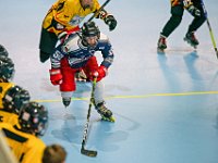 DSC08262-1500