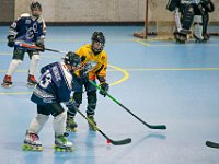 DSC08281-1500