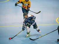 DSC08284-1500