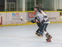 DSC02150-1250