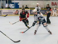 DSC02228-1250