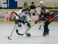 DSC02233-1250