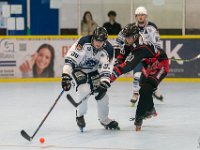 DSC02234-1250