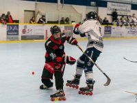 DSC02245-1250