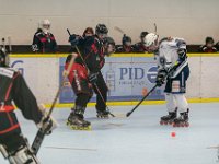 DSC02351-1250