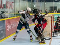 DSC02376-1250